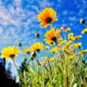 Meet your Posher, Misti